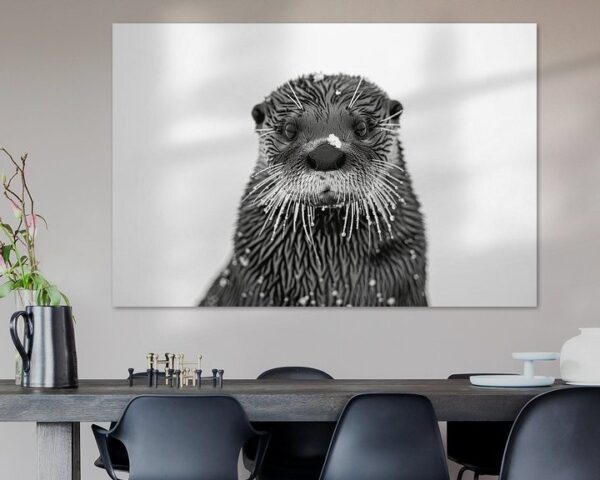 Otter