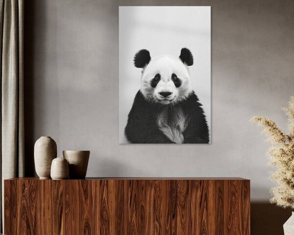 Panda in Schwarz-Weiß