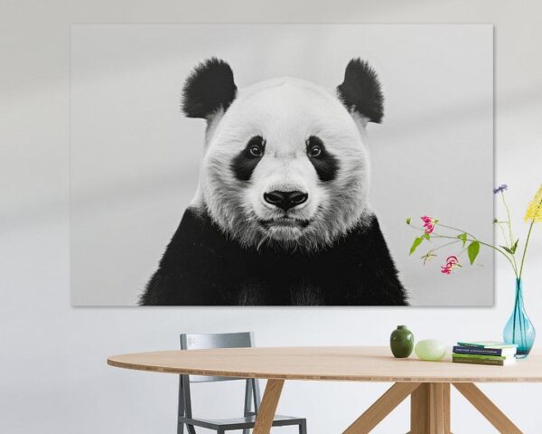 Panda in Schwarz-Weiß