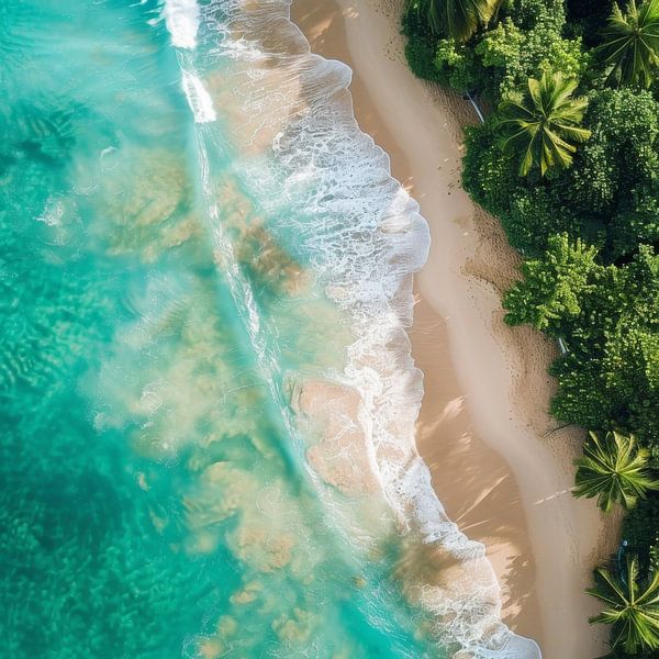 Paradiesische Landschaftsfotografie