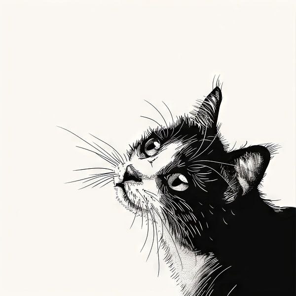 Neugierige Katze - Illustration