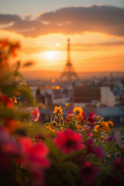 Blühender Sonnenuntergang in Paris