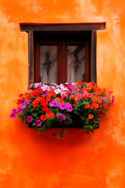 Bunte Blumenpracht am Fenster