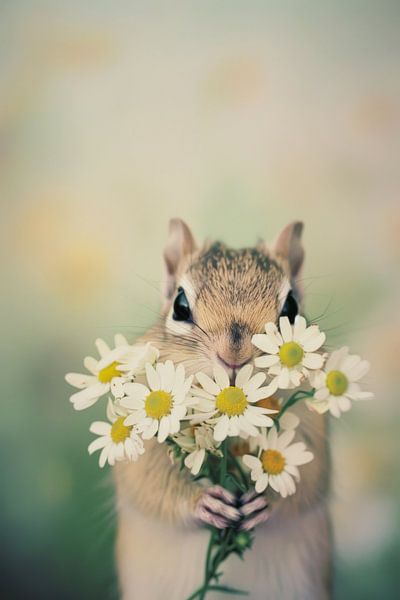 Ein fröhliches Eichhörnchen mit Blumen