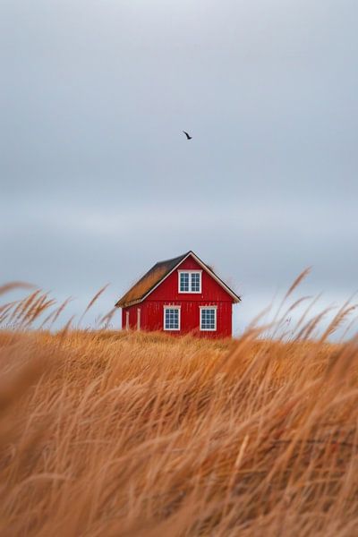 Rotes Haus im goldenen Feld