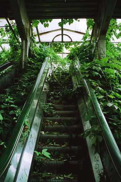 Verborgene Natur: Die grüne Treppe