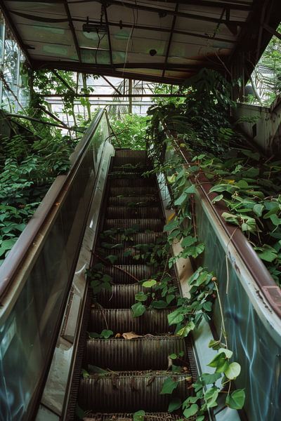 Verborgene Natur im urbanen Raum