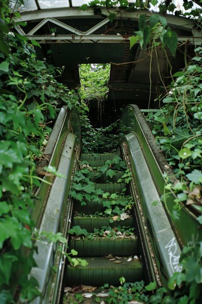 Verborgene Treppe im Grünen