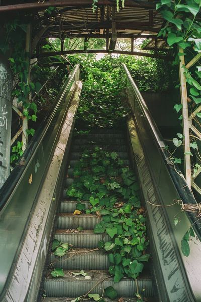 Verwaiste Treppe im Grünen