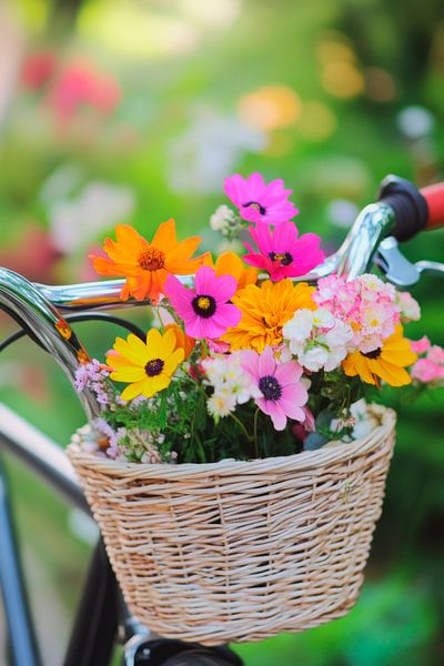 Blumen im Fahrradkorb genießen