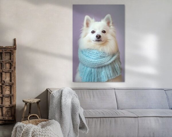 American Eskimo Dog