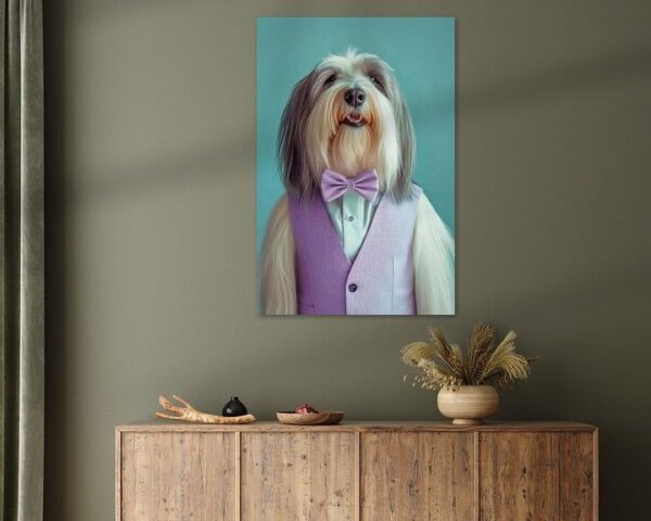 Bearded Collie