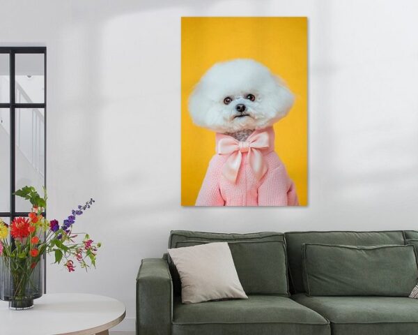 Bichon Frise