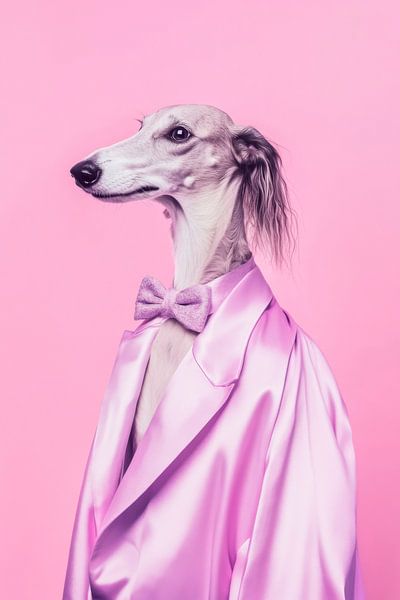 Borzoi