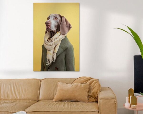 Bracco Italiano