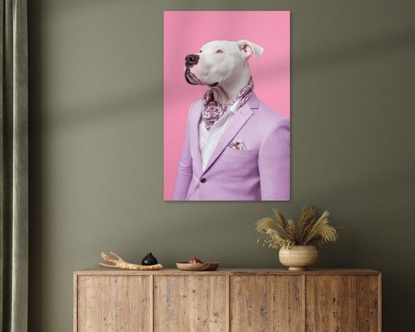 Dogo Argentino