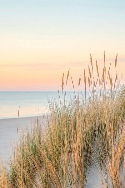 Sonnenaufgang am Stranddünen