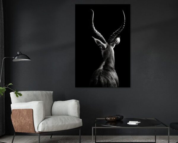 Antilope im Profil