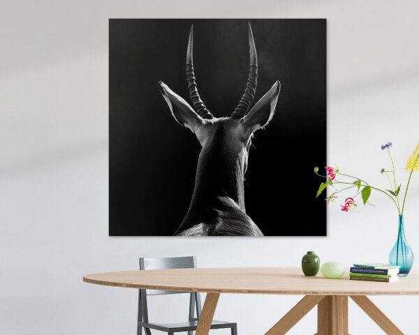 Antilope Silhouette