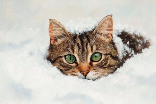 Katze im Schnee