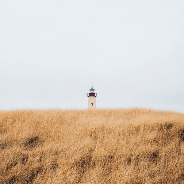 Leuchtturm im Gras