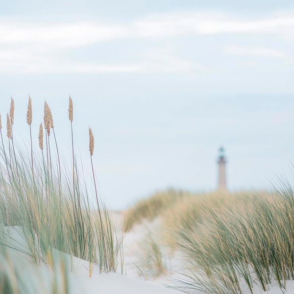 Leuchtturm im Gras