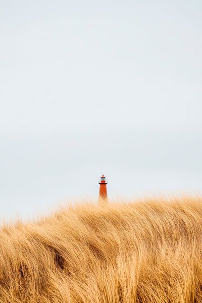 Leuchtturm im Gras