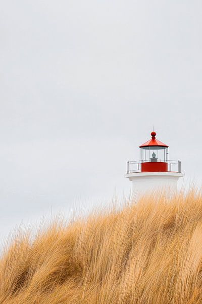 Leuchtturm im Gras