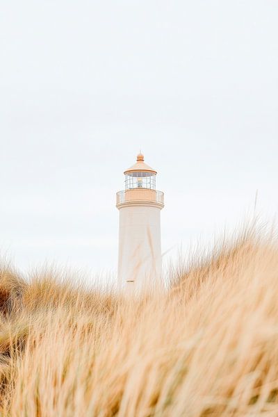 Leuchtturm im Gras