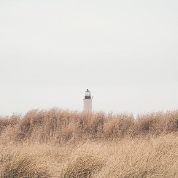 Leuchtturm Landschaft