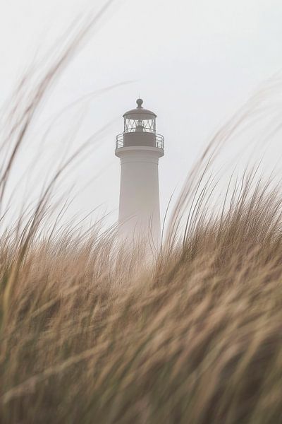 Leuchtturm Nebel