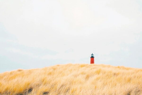 Leuchtturm Wiese