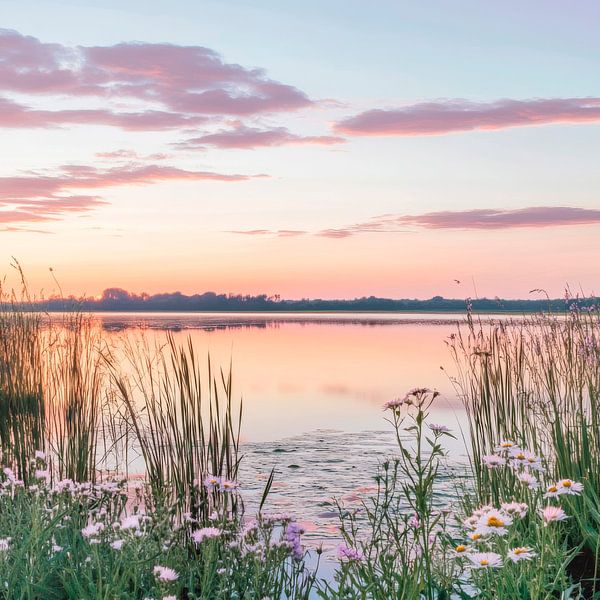 Morgendämmerung am See