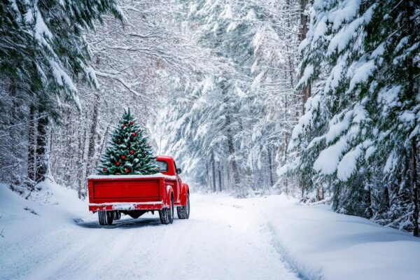 Roter Truck Winter