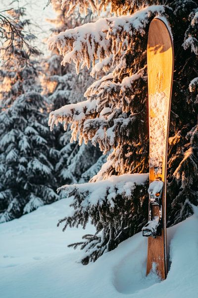 Ski im Schnee