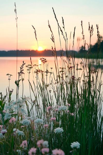 Sonnenuntergang am See