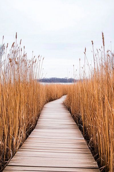 Wanderweg Natur