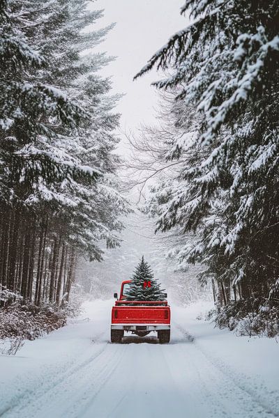 Weihnachtsbaum im Schnee