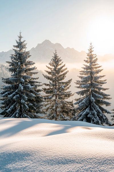 Winterliche Berglandschaft