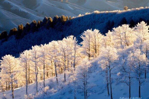 Winterzauber Landschaft