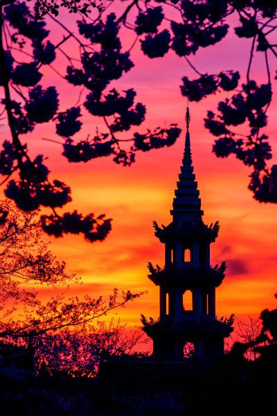 Abenddämmerung über Pagode