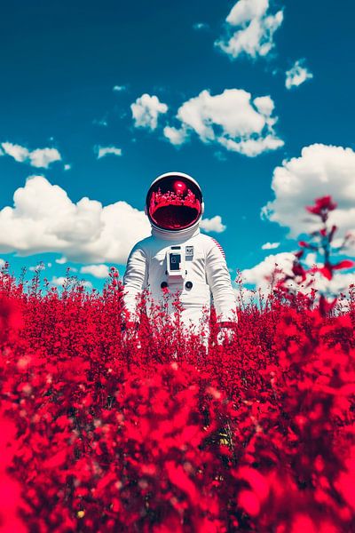 Astronaut im roten Blumenfeld – Surrealistisch