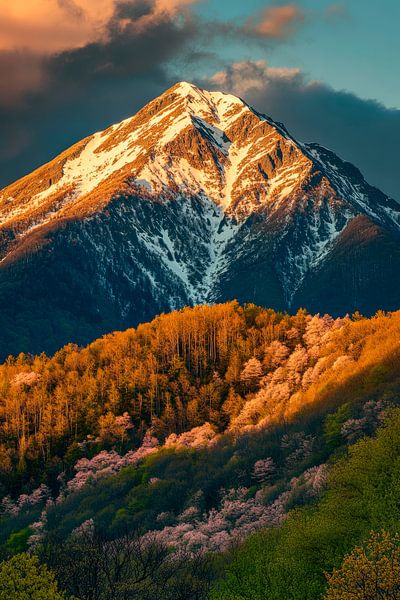 Berglandschaft im Abendlicht