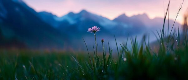 Blühende Blume in gebirgiger Landschaft