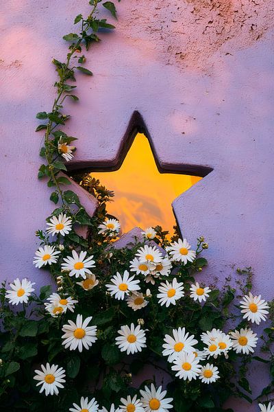 Blumen vor sternförmigem Fenster