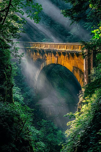 Brücke im Nebel – Grünes Paradies