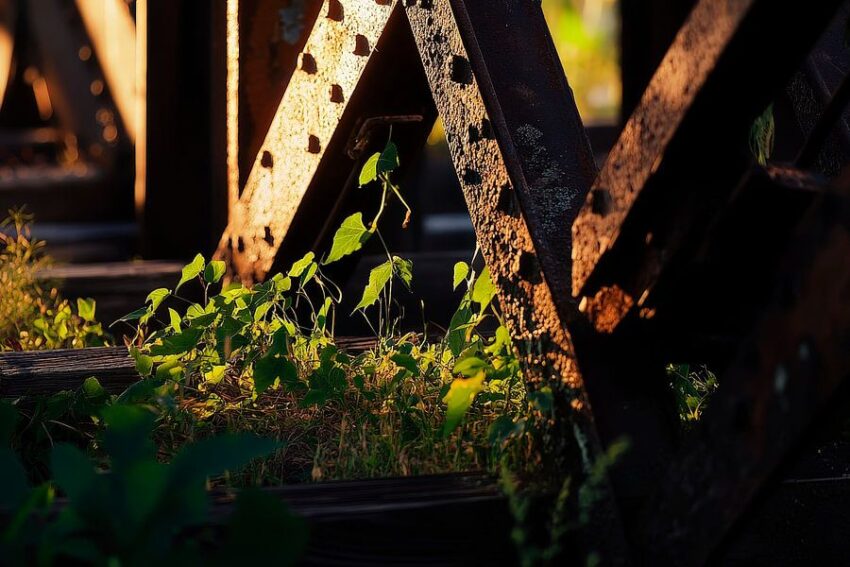 Eisenbahnbrücke mit Pflanzenwuchs