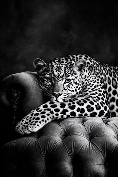 Eleganter Leopard