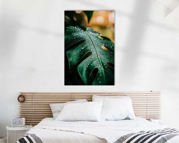 Frische Monstera mit Wassertropfen