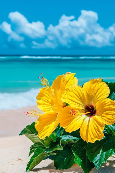 Gelbe Hibiskusblüten am Strand